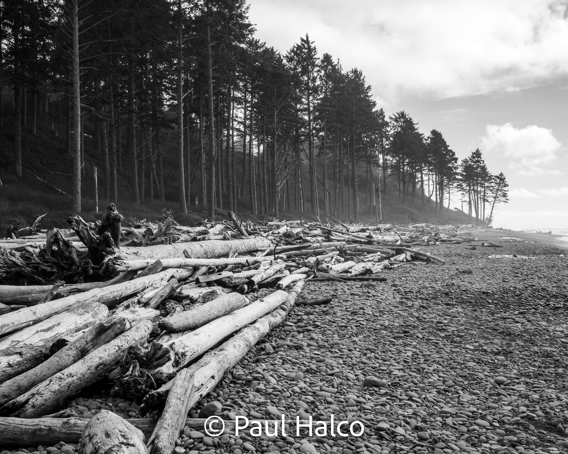 Paul Halco - Olympus NP-7